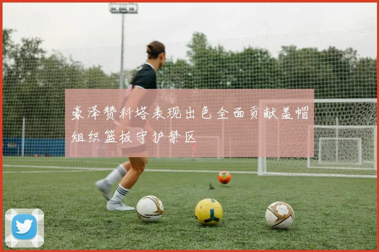 豪泽赞科塔表现出色全面贡献盖帽组织篮板守护禁区